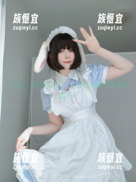 白银81的柴郡魔女：让你的猫咪都羡慕的资源！
