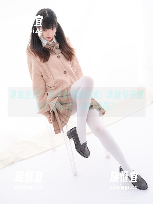 紧急企划 - 林书辞的新尝试：灰丝与美图的不期而遇，你敢看吗？